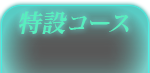 特設コース